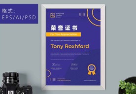 荣誉证书时尚竖版证书