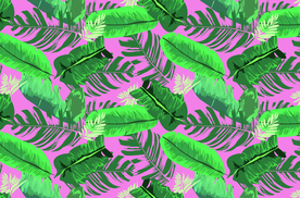 叶子