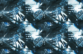 椰子树