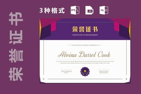 荣誉证书时尚横版证书