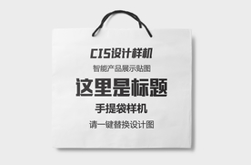 服装手提袋