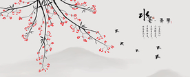 梅花