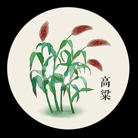 高粱插画