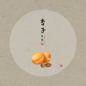 手绘杏