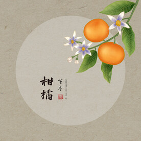 手绘橘子