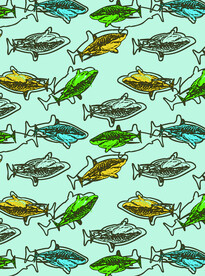 线条 鲨鱼 卡通