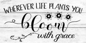 木板木纹英文挂板