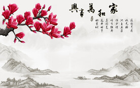 家和电视背景墙