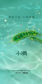 24节气小满