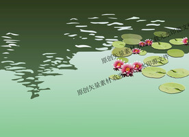 荷塘睡莲