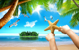 阳光海岸椰子树