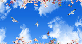 蓝天白云鸽子鲜花