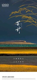 芒种