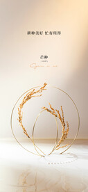 芒种海报