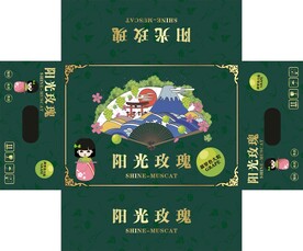 水果包装 