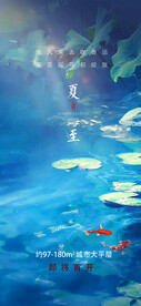 24节气夏至