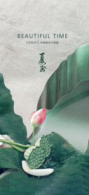 24节气夏至