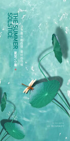 24节气小暑