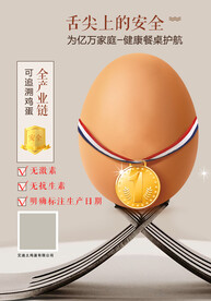 农家土鸡蛋海报