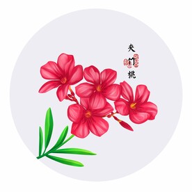 手绘夹竹桃