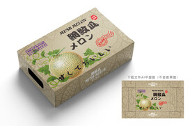 网纹瓜包装 