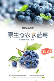 蓝莓
