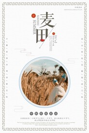 麦田