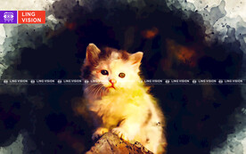 小猫