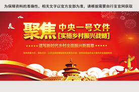 中央一号文件 