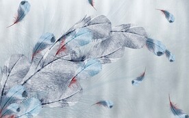 彩色羽毛