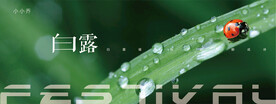 节气
