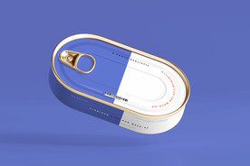 多视角铝制鱼罐头盒模型