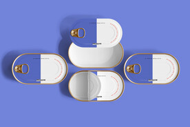 多视角 铝制 鱼 罐头 盒 模