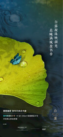 白露