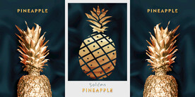 晶瓷画 抽象画 菠萝