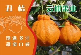 丑桔海报