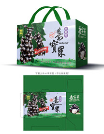 嘉宝果包装 