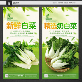 白菜