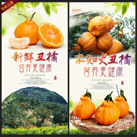 丑橘