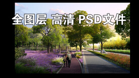 道路树林花海