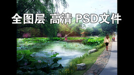 荷花塘