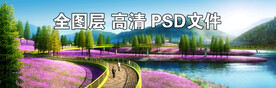 水杉花海栈道