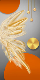 光影羽毛几何橙色玄关