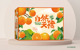 橙子包装 橙子礼盒