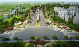 道路绿化