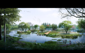 湿地