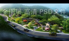 山间树林