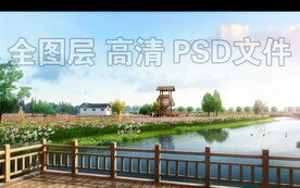 波斯菊