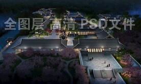 古建樱花夜景