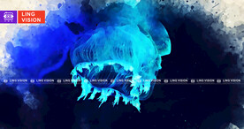 水母